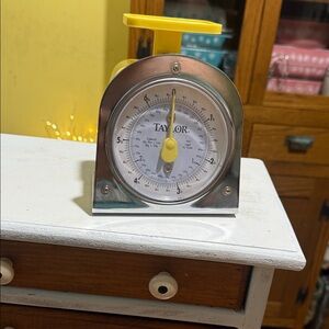 Taylor Silver and Yellow Analog Kitchen Scale
